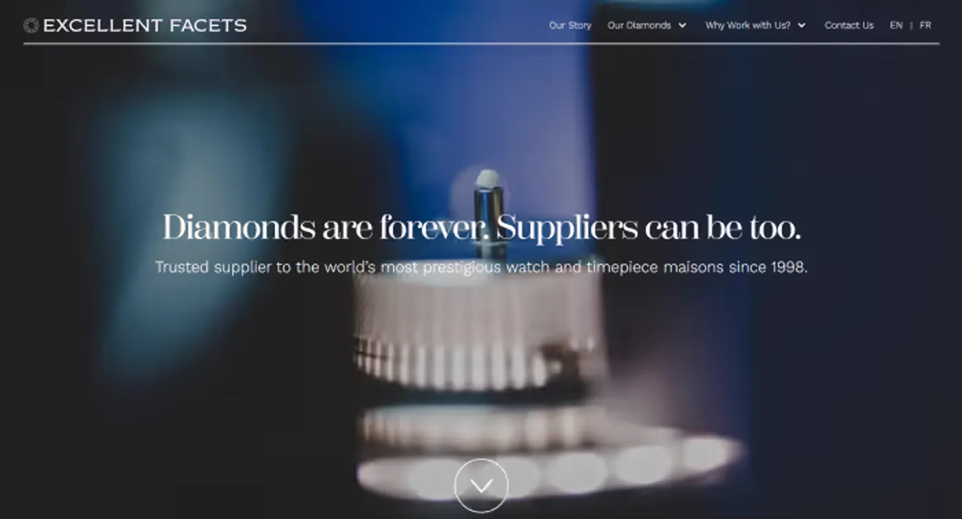 Excellent Facets website, desktop view