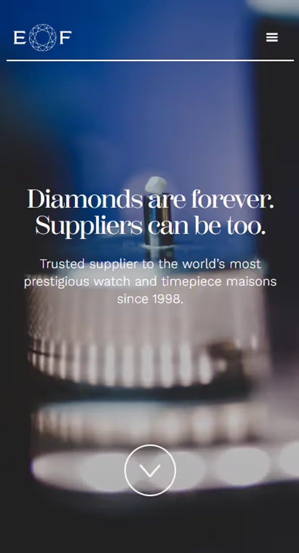 Excellent Facets website, mobile view 1